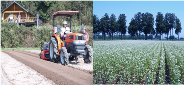 温暖な気候を活かしたそば春まき栽培の生産技術確立と産地形成（2011～2013年度）